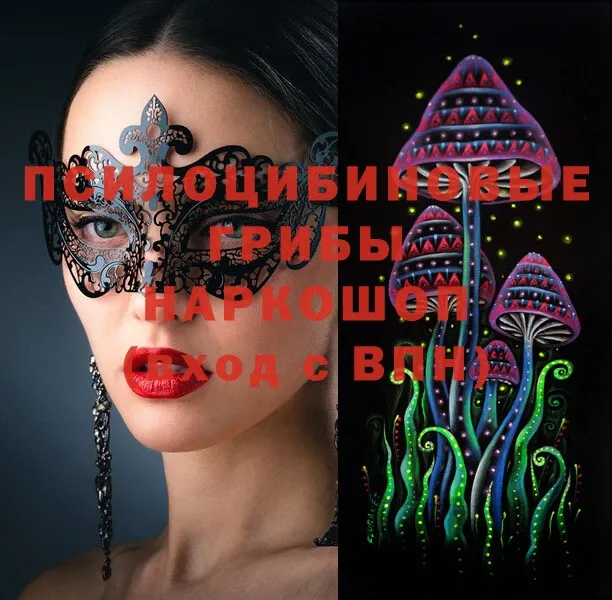 Галлюциногенные грибы Magic Shrooms  Бокситогорск 